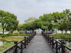-长广溪湿地公园