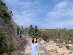 -广东惠东海龟国家级自然保护区