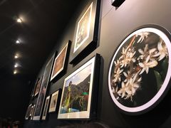 -星巴克(南京江宁文鼎广场店)