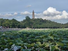 -顺峰山公园
