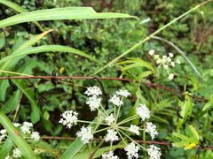 -商洛老君山旅游风景区