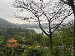 -水濂山森林公园