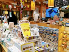 零售区-猫的天空之城概念书店(丽江古城饮玉巷店)