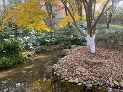 -宝荣鱼馆·临湖之宴(千岛湖店)