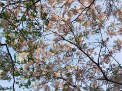 -白塘生态植物园