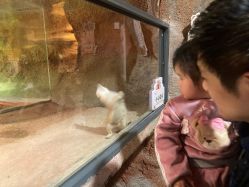 -酷嗒动物文化乐园(cutezoo西溪乐天城店)