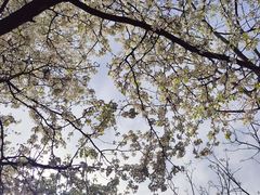 -盘龙城国家考古遗址公园