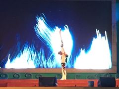 -巨鹏飞梦幻海岸