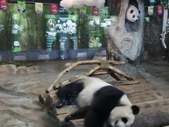 -海南热带野生动植物园