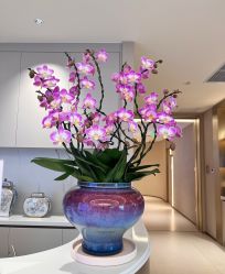 -深圳芙必优医疗美容·抗衰中心