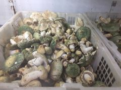 -双喜农庄·菌香园(安居家园店)