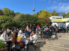 -食膳公园包子铺(烈士公园店)