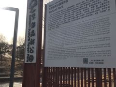 -东郊湿地公园