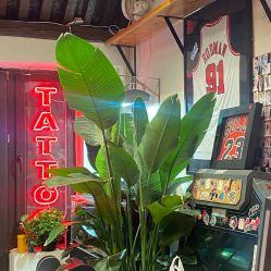 -MDZ STORE·TATTOO·耳饰