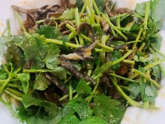 -来顺成饭庄