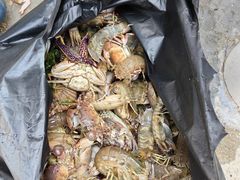 -东戴河风景区-止锚湾