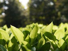 -国际非物质文化遗产博览园