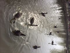 iphone_upload_pic-溱湖国家湿地公园