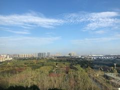 -青叶202都市餐厅(迪诺水镇店)