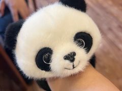 -轩客会(熊猫书店)