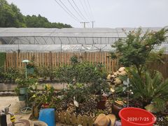 -美家乐农庄·露营·团建(大治路店)