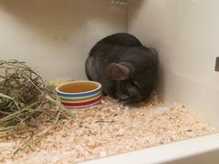 -龙猫仔乐园(惠福东路店)