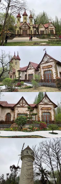 东平国家森林公园图片
