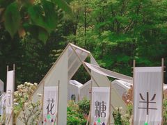 -深圳仙湖植物园