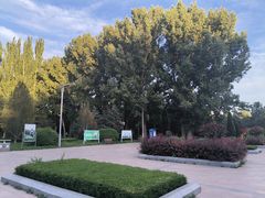 -阿尔丁植物园