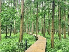 -上海怡沁园度假酒店