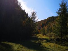 -苏木山森林公园