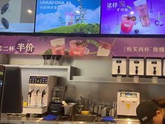 -TD66高山铁皮石斛养生茶饮