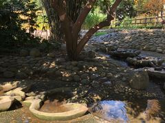 -成都市活水公园