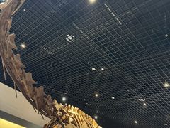 -衢州市博物馆
