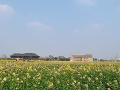 -中国天府农业博览园