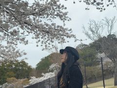 -奈良公园