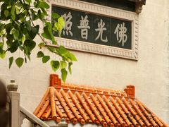 -深圳仙湖植物园