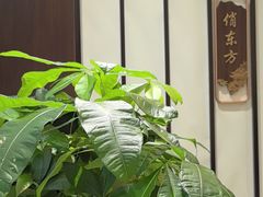 -俏东方·海味水饺·青岛菜(崂山店)