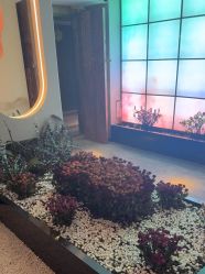 -琦品高端美容SPA私佳美场