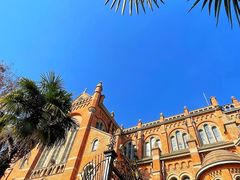 -上海佘山国家森林公园西佘山园