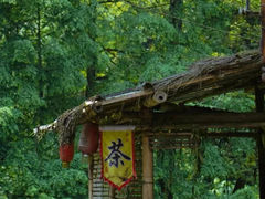 -高庙古镇