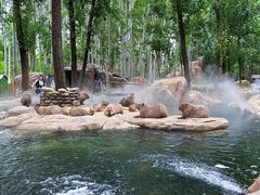 -北京野生动物园