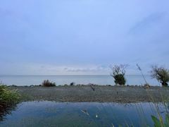 -呈贡滇池生态湿地公园