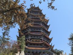 -铁山坪森林公园