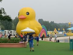 -秦皇岛乐岛海洋王国