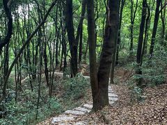 -火炉山森林公园