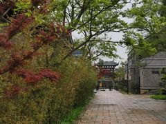 -广富林郊野公园