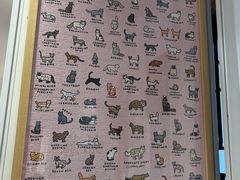 -猫的天空之城概念书店(苏州平江店)