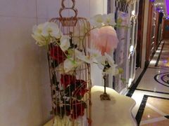 -开乐迪KTV(石桥店)