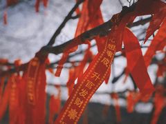 -青岩寺风景区